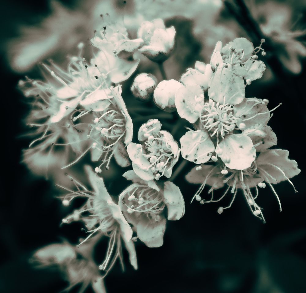 Photograph by Денис Рузаев