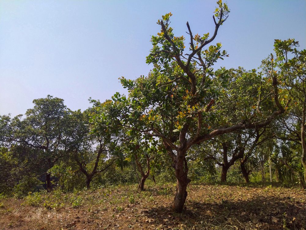 Photo #5971598