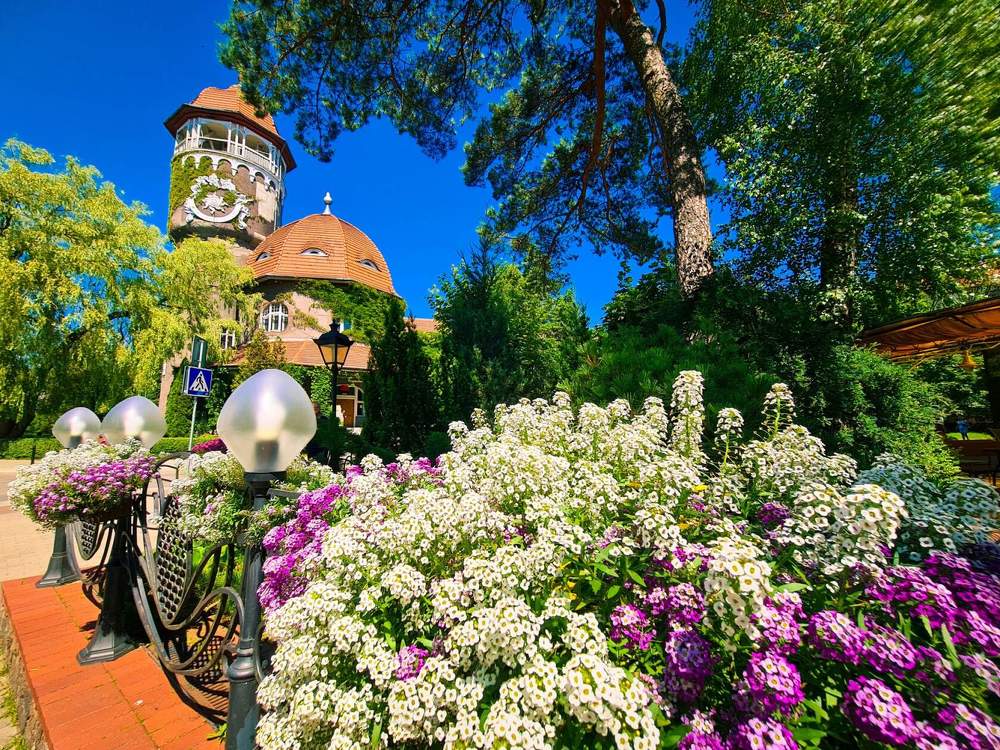 Photograph by Ирина Дубицкая