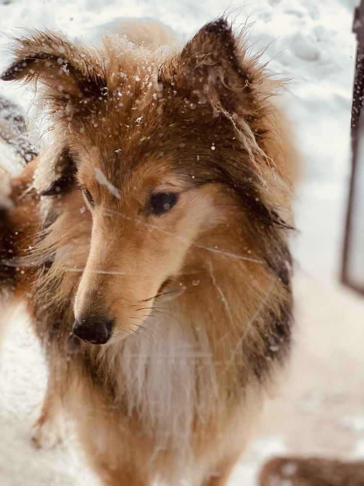 Photograph by Вячеслав Козлов