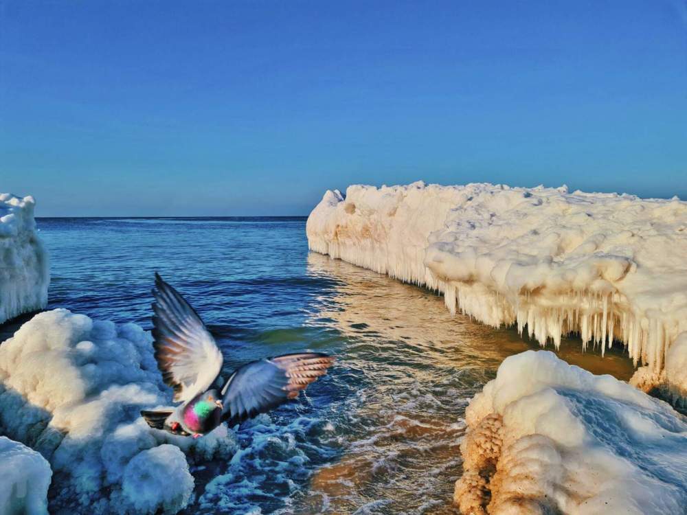 Photograph by Ирина Дубицкая