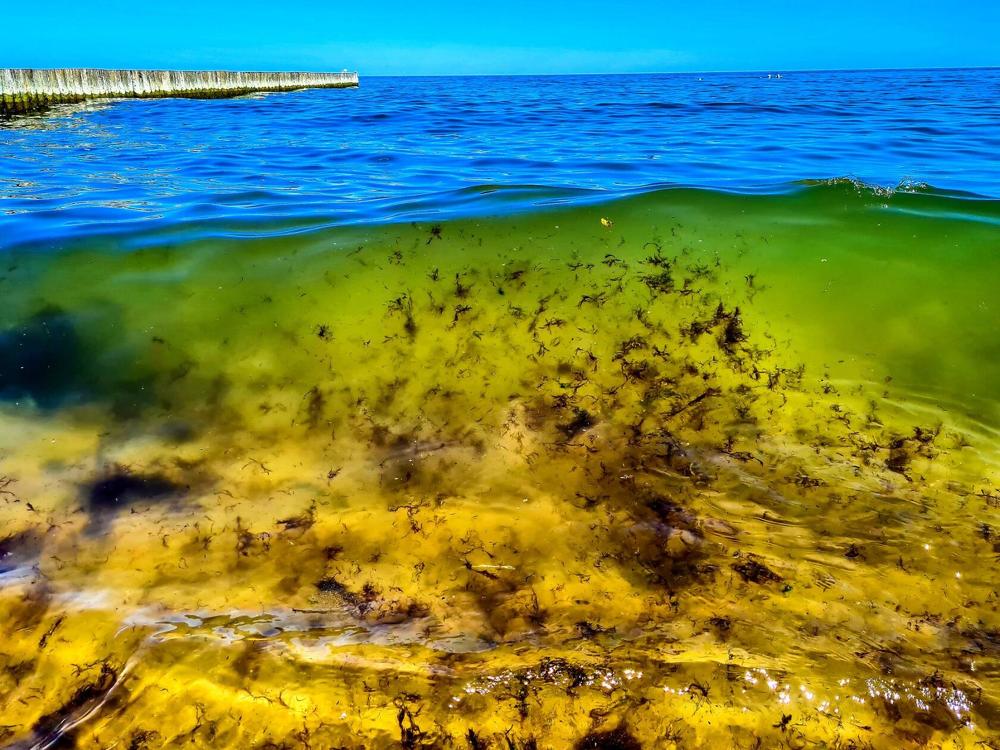 Photograph by Ирина Дубицкая