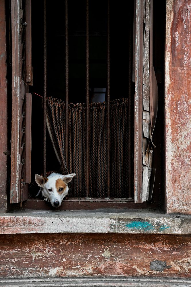 Photograph by Rohit Mazumdar