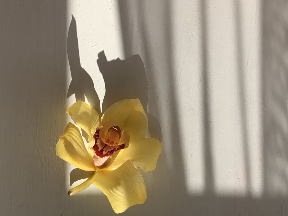 Photograph by Katerina