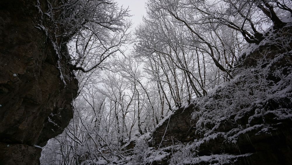 Фотография автора Эрнст Антонов
