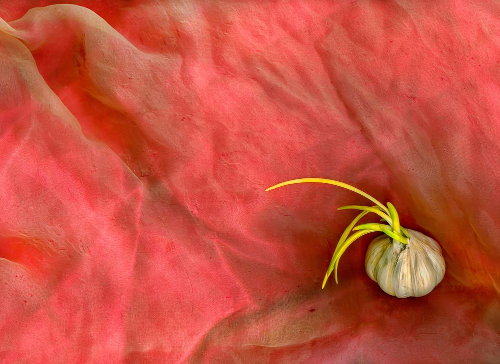 Photograph by Наталья Коньшина