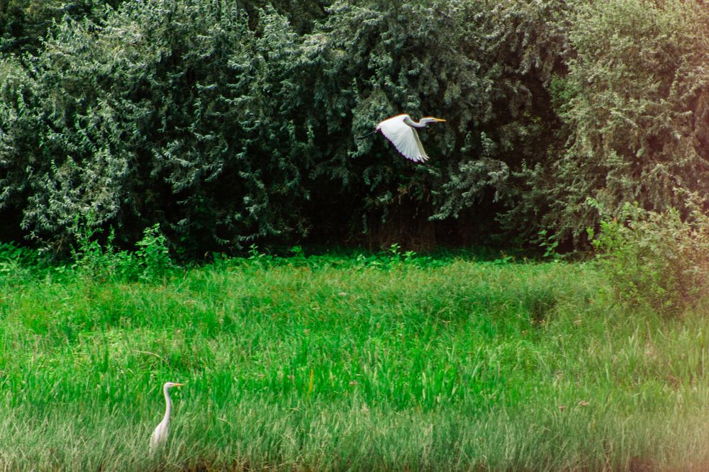 Photograph by Валентина Андреевна Черкасова