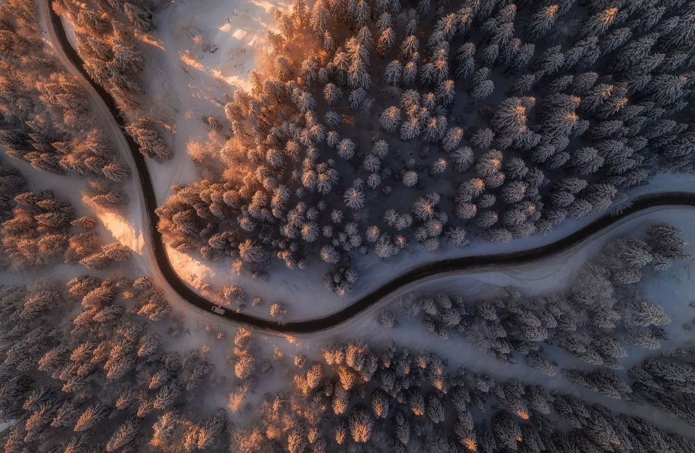 Photograph by Aleš Krivec