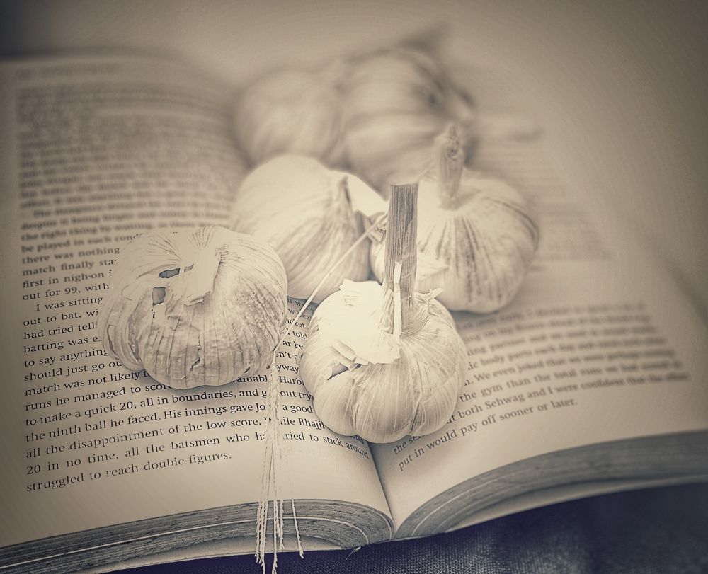 Photograph by Manjri Saxena