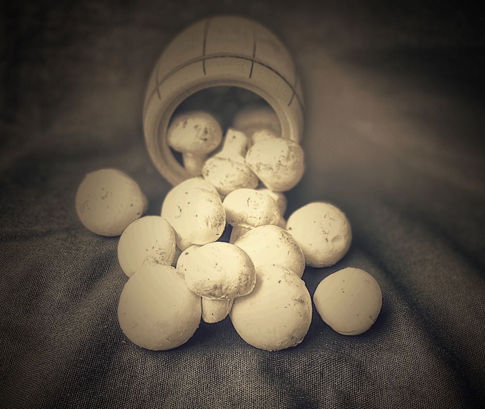 Photograph by Manjri Saxena