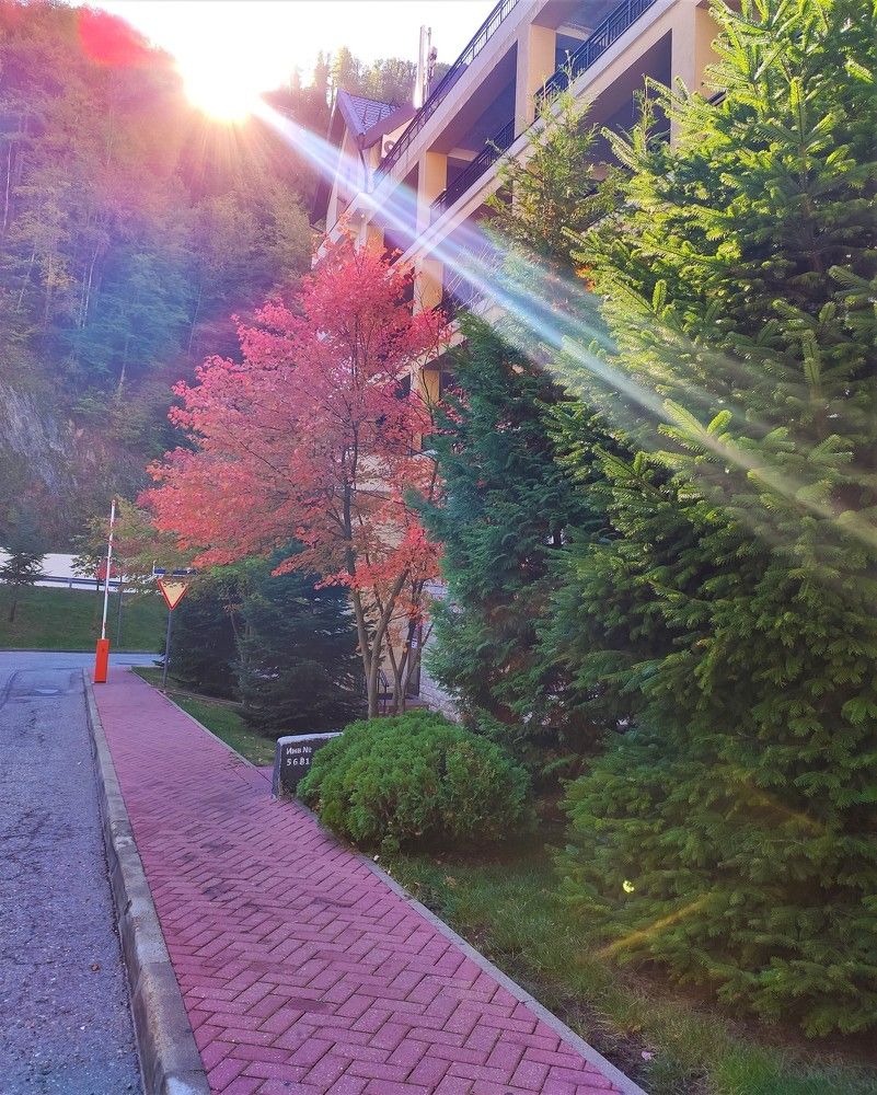 Photograph by Антонина Владимировна Завальнюк