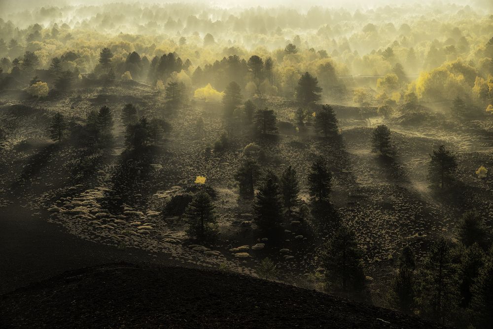 Фотография автора Davide Calio\'