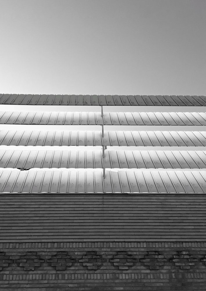 Photograph by Sajad Alizadeh