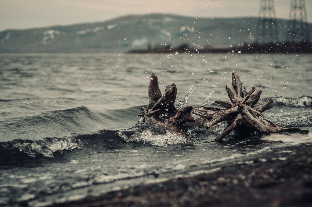 Photograph by Денис Рузаев