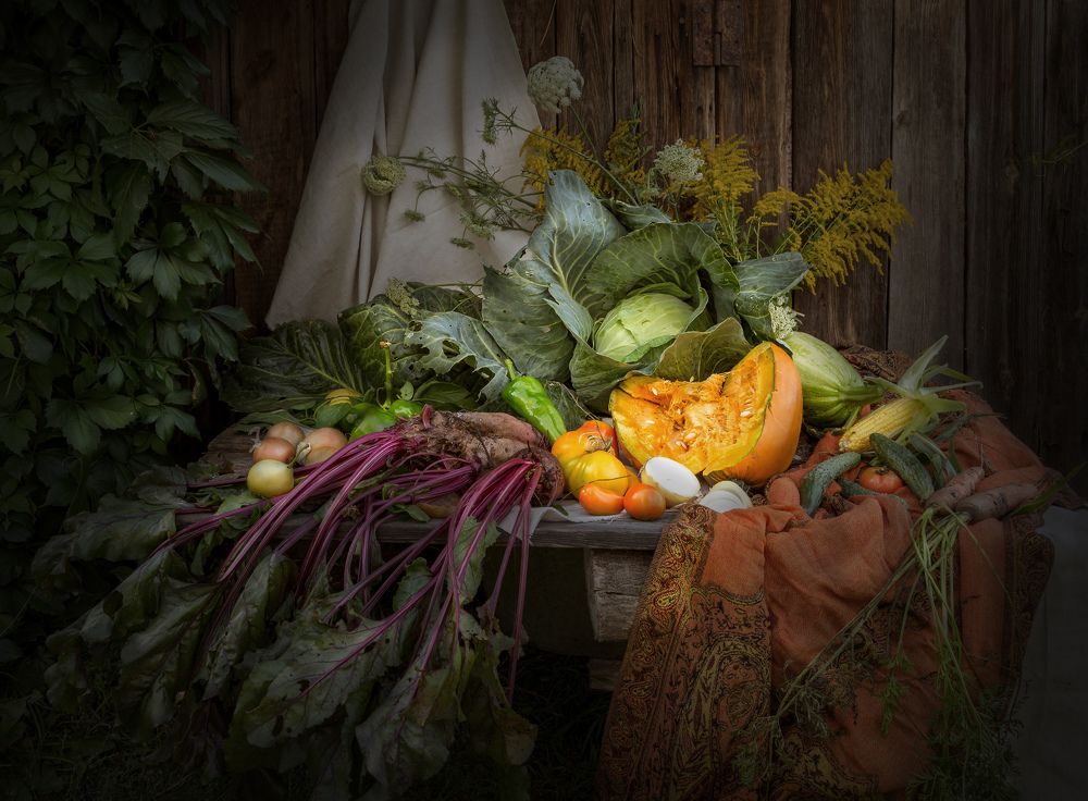 Фотография автора Наталья Кайзер