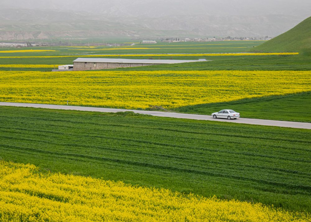 Photograph by Alireza Yousofvand