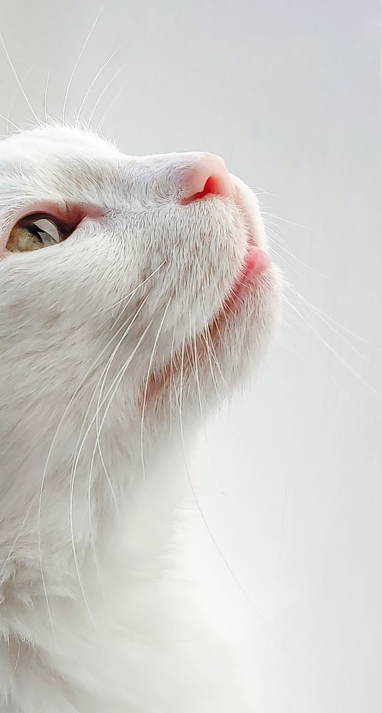 Photograph by Анна Андреева Воронина