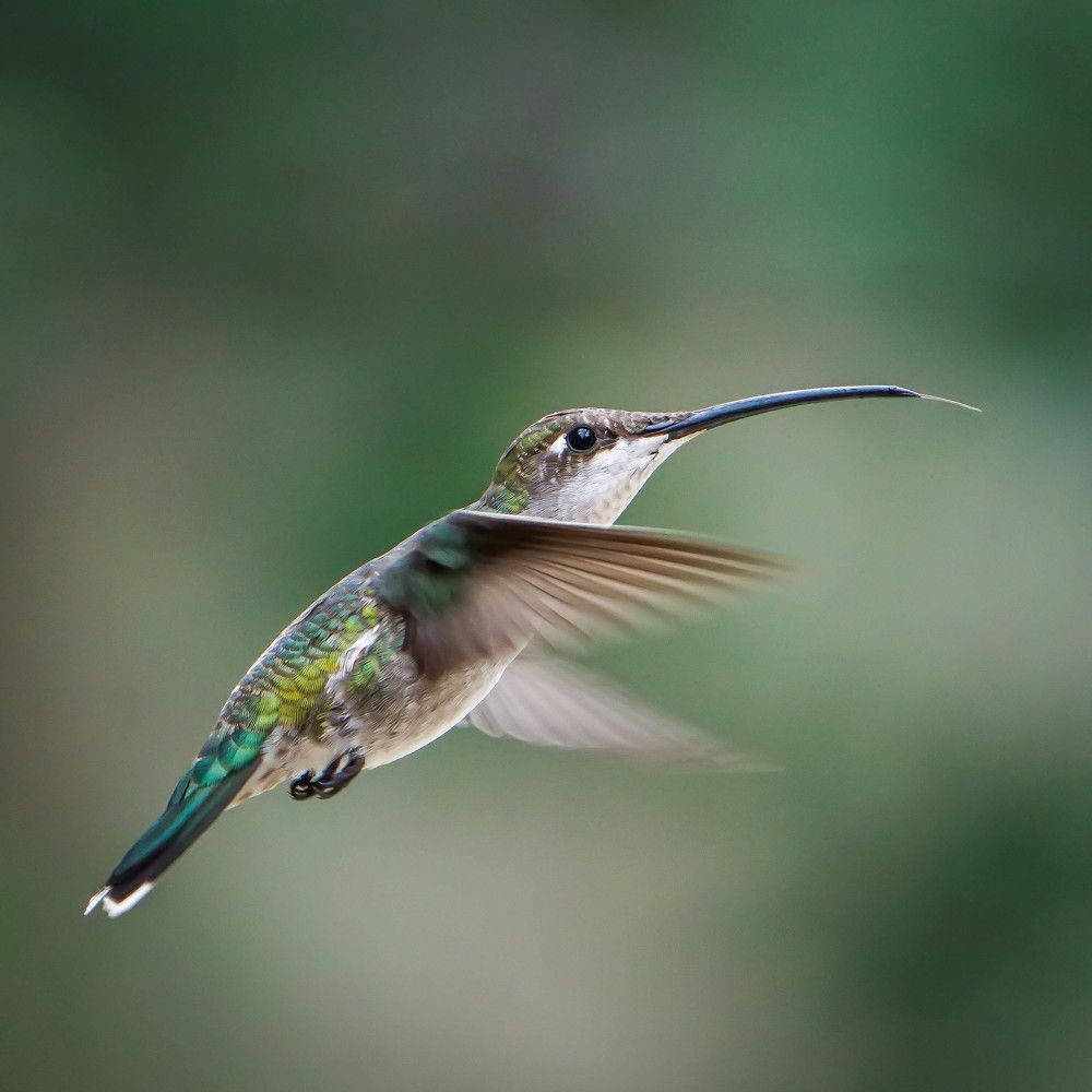 Photograph by Karina Elena Bergagna