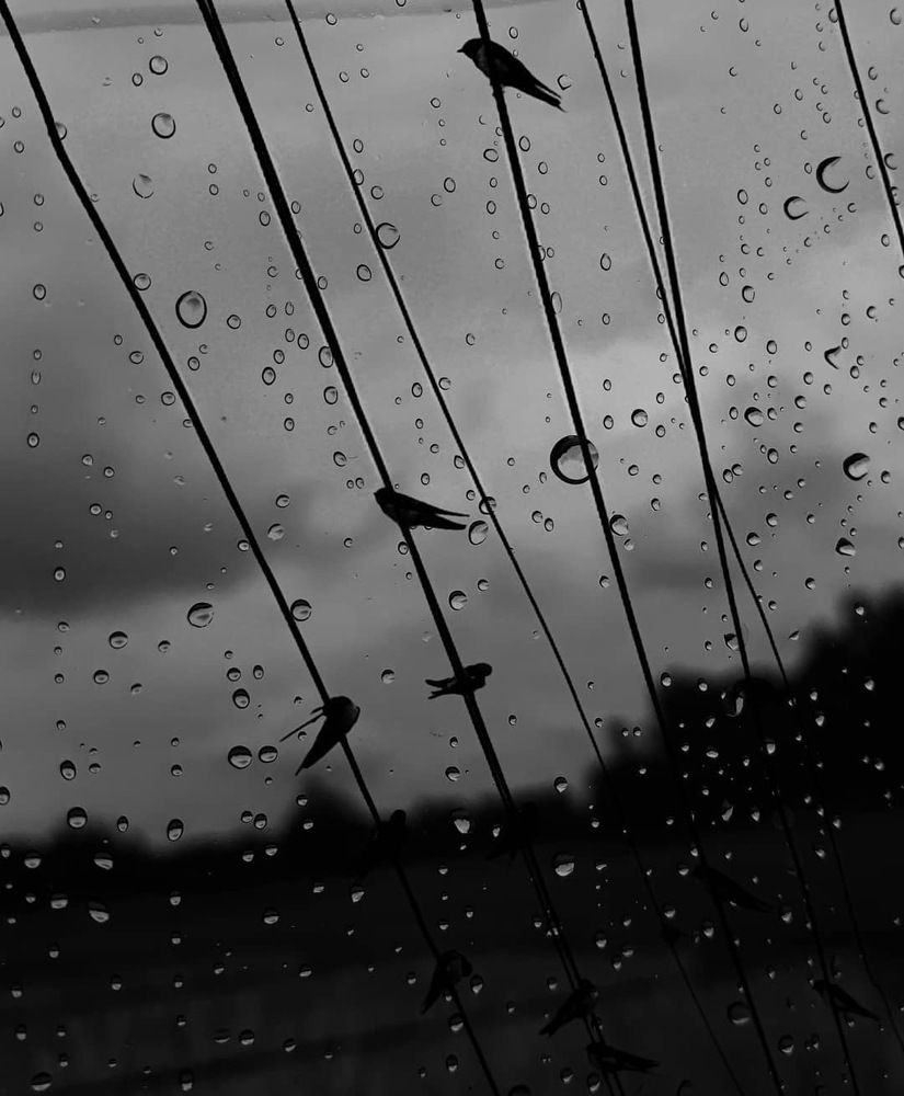 Photograph by Musavir Shabir Mir