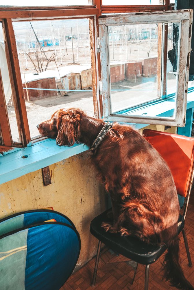 Photograph by Марина Большакова