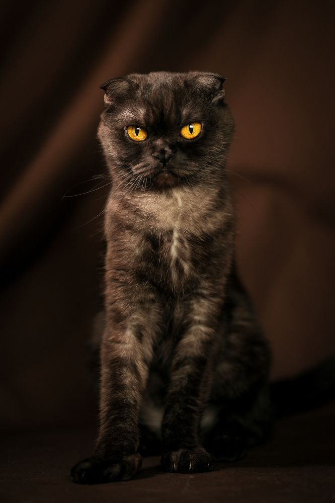 Photograph by Юлия Милосердова