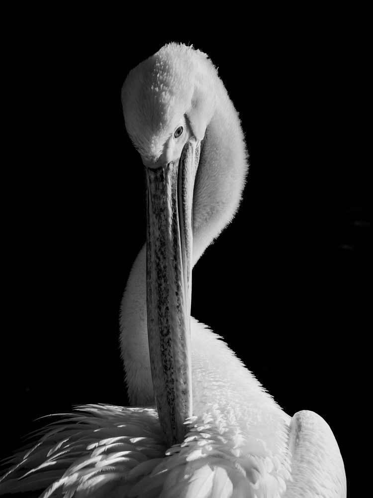 Фотография автора Davide Calio\'