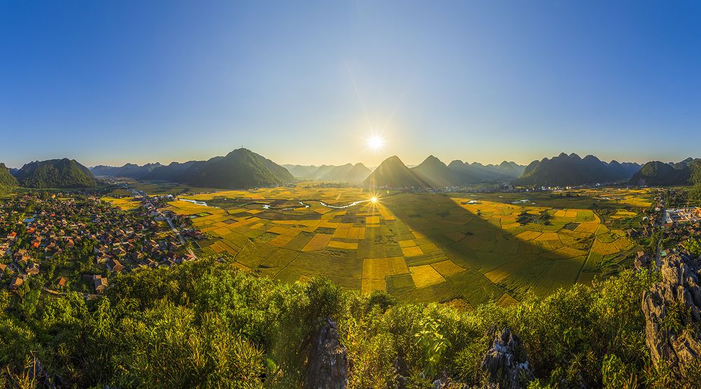 Bac Son rice fields in harvest season