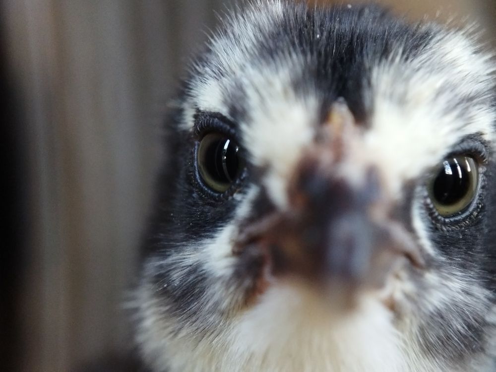 Photograph by Arnel Garcia