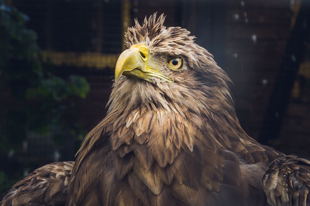 Photograph by Светлана Гонская