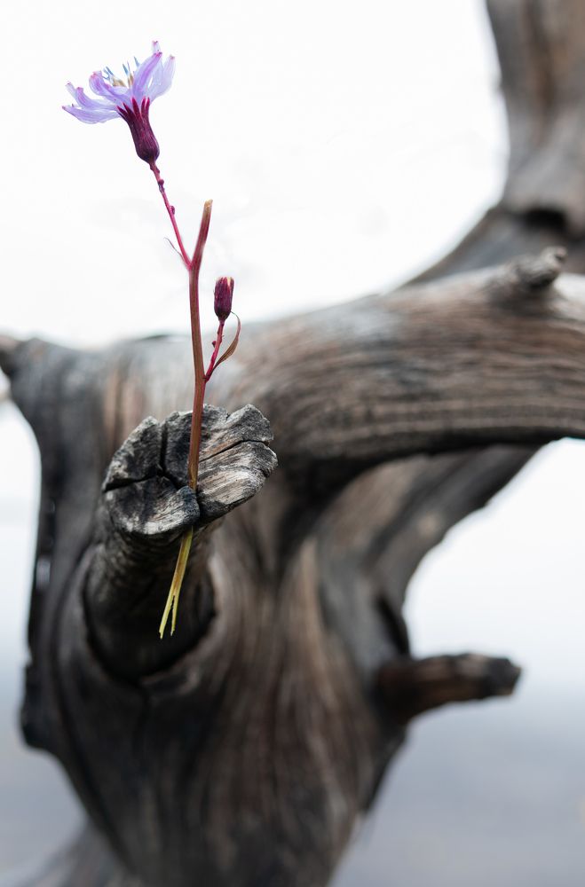 Photograph by Ольга