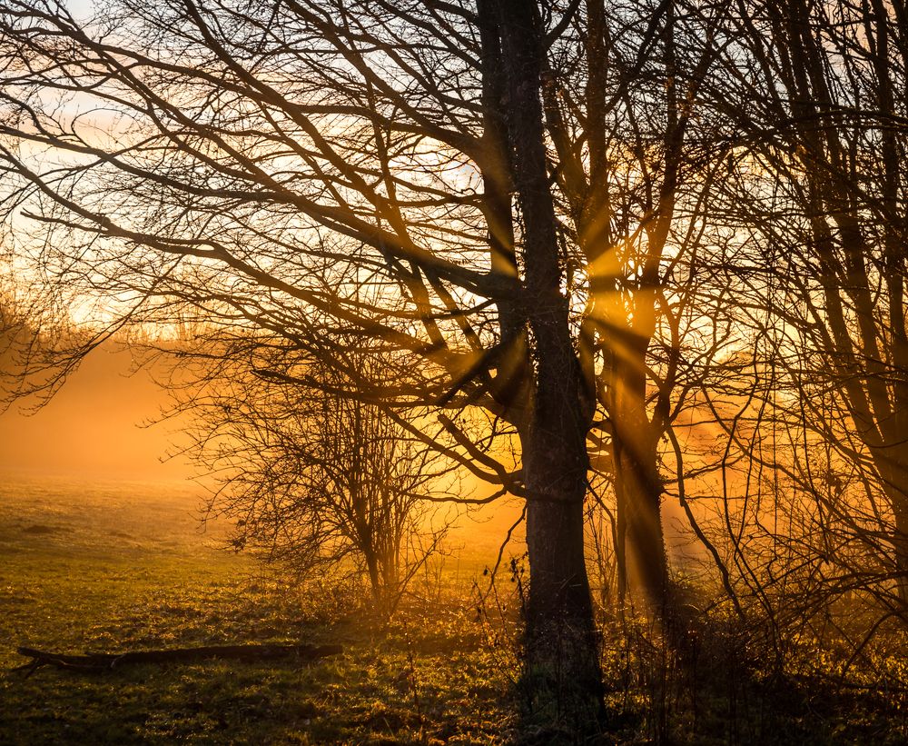 Photograph by Tatiana Daks