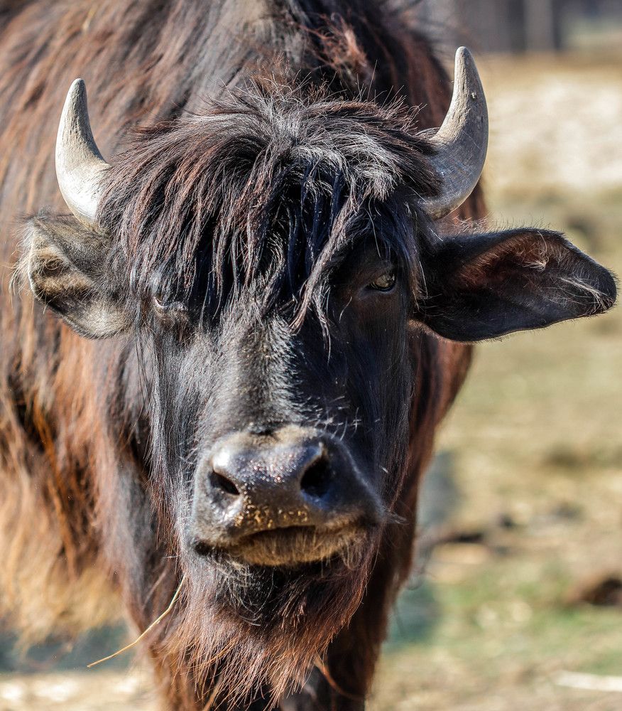 Photograph by Владимир Самосватов