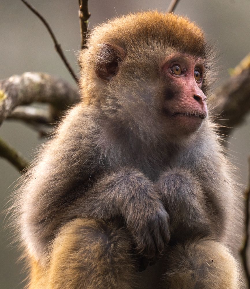 Eyes searching for someone