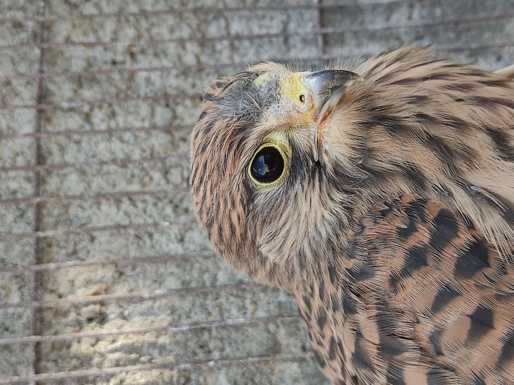 Photograph by Sherko Bahmani