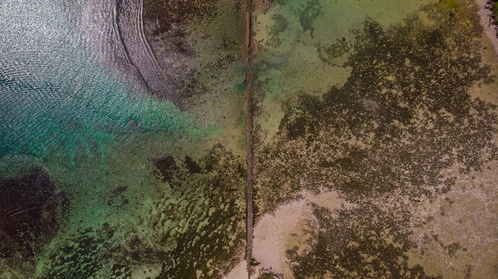 Photograph by Eugene Sokolenko