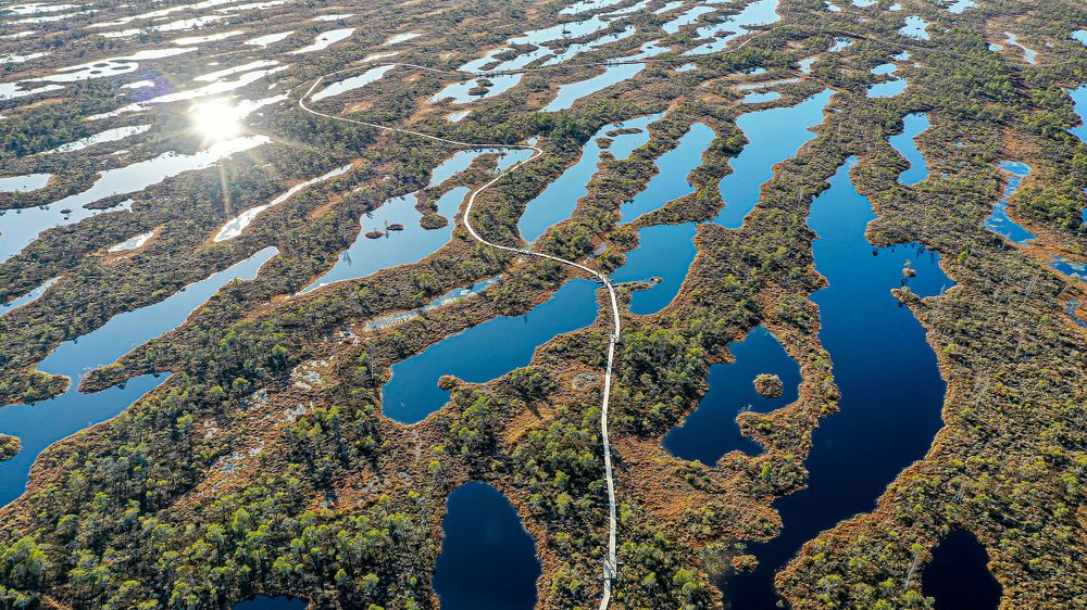 Photograph by AVIC A.M.