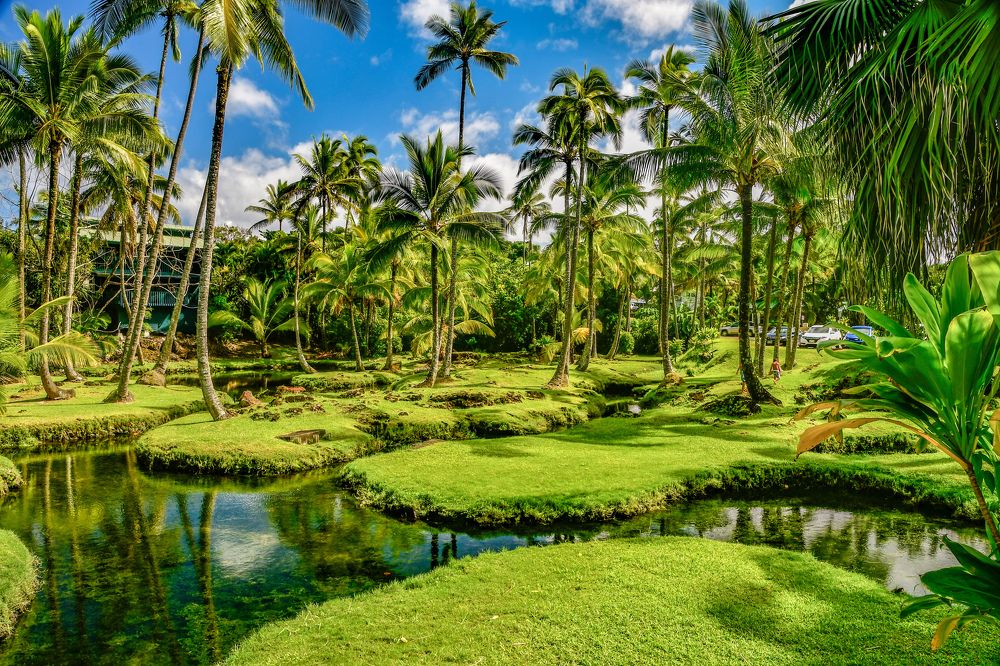 Photograph by AVIC A.M.