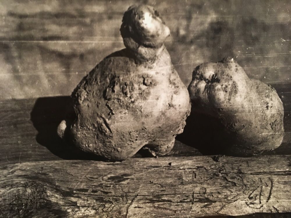 Разговор...!