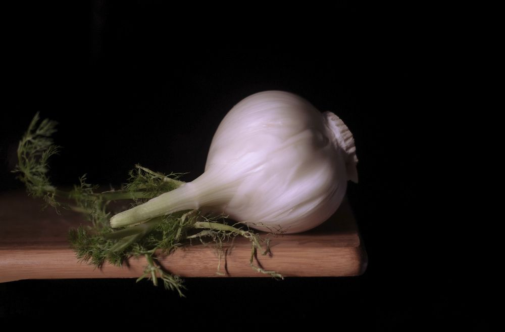 Photograph by Елизавета Байкова