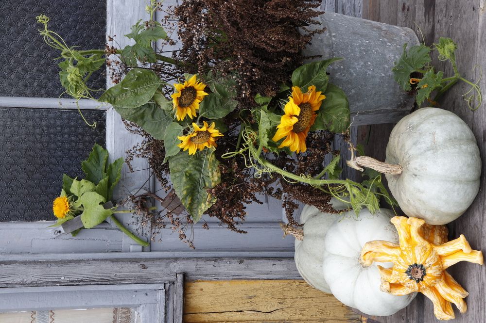 Осенняя мелодия