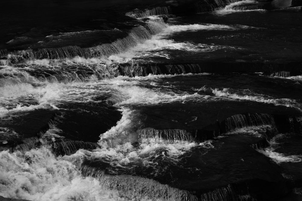 Photograph by Himanshu Srivastava