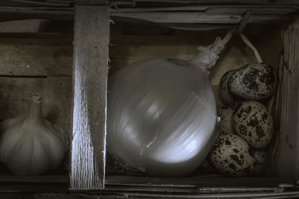 Photograph by Светлана Гонская