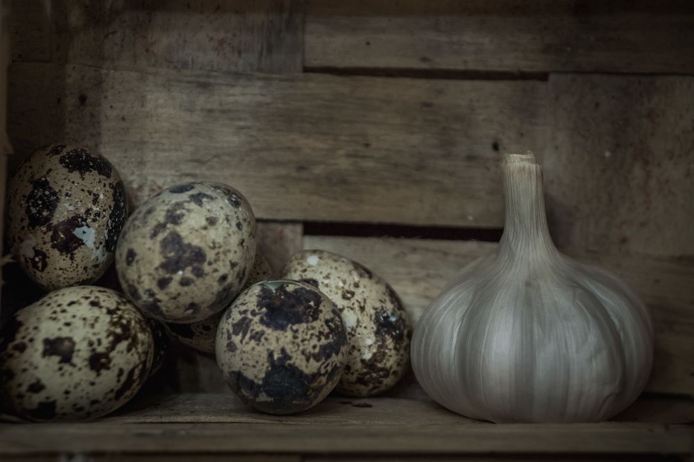 Photograph by Светлана Гонская