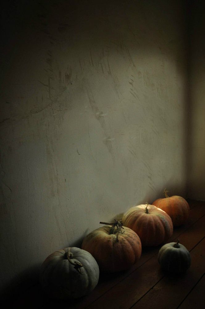 Photograph by Екатерина Филь