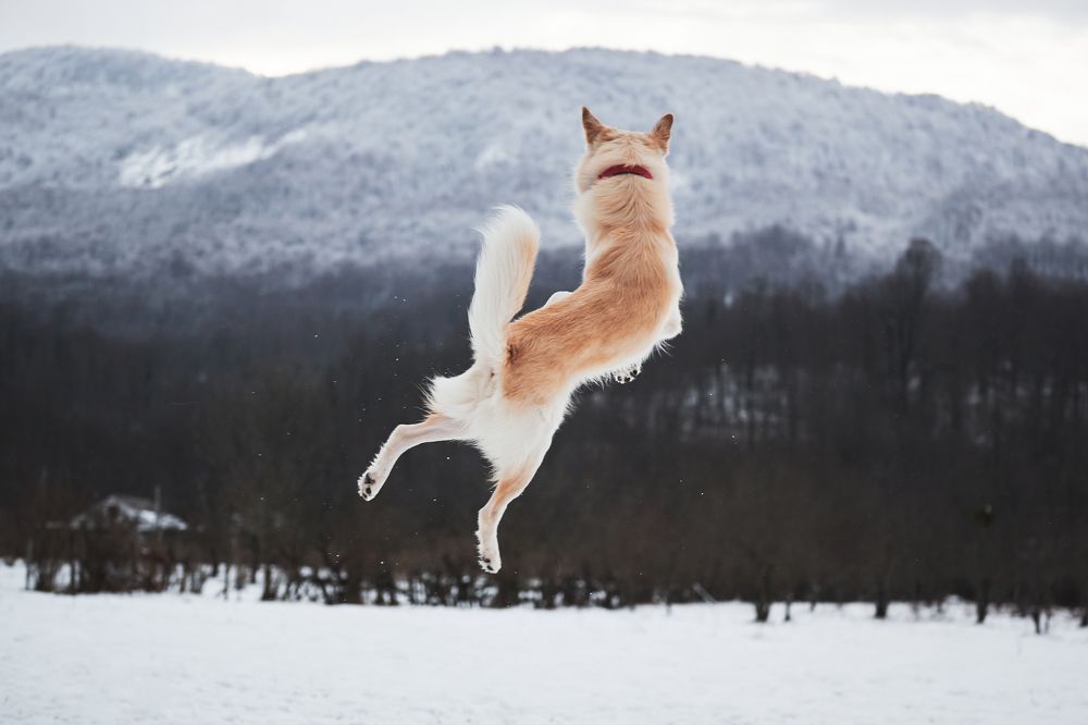 Photograph by Екатерина Кобальнова