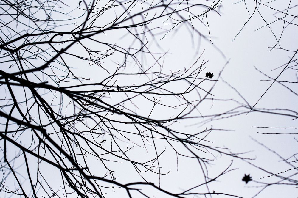 Photograph by Orisay