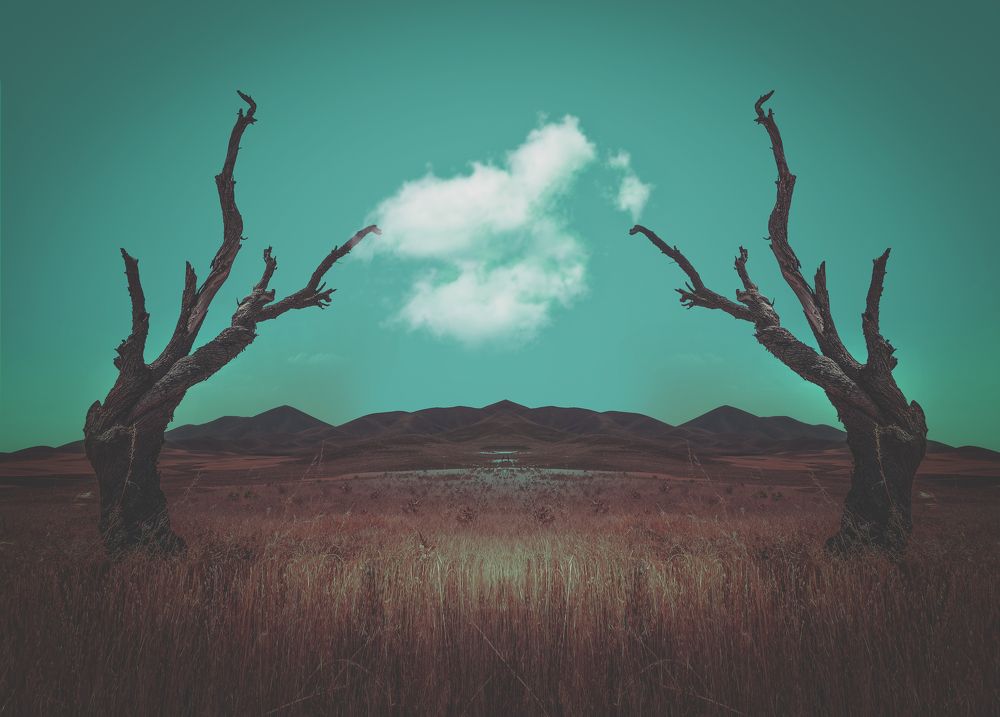 Photograph by reza lashgari