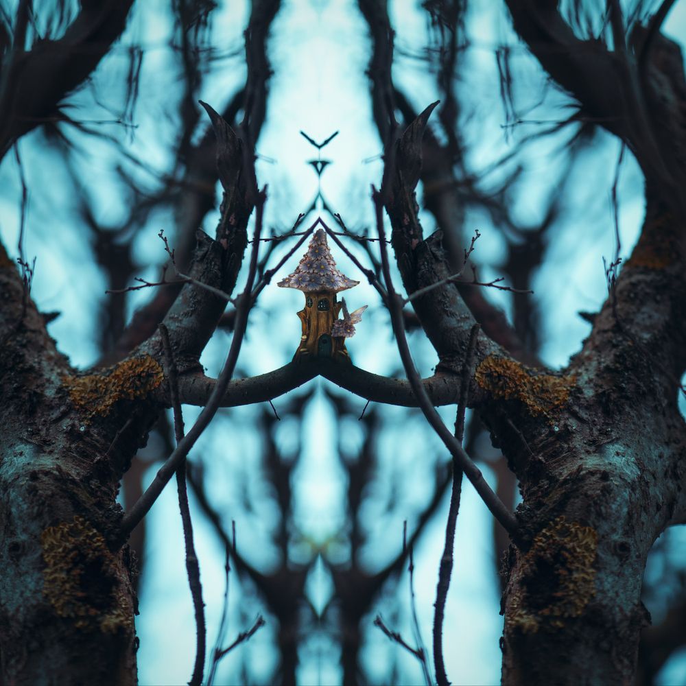 Photograph by reza lashgari