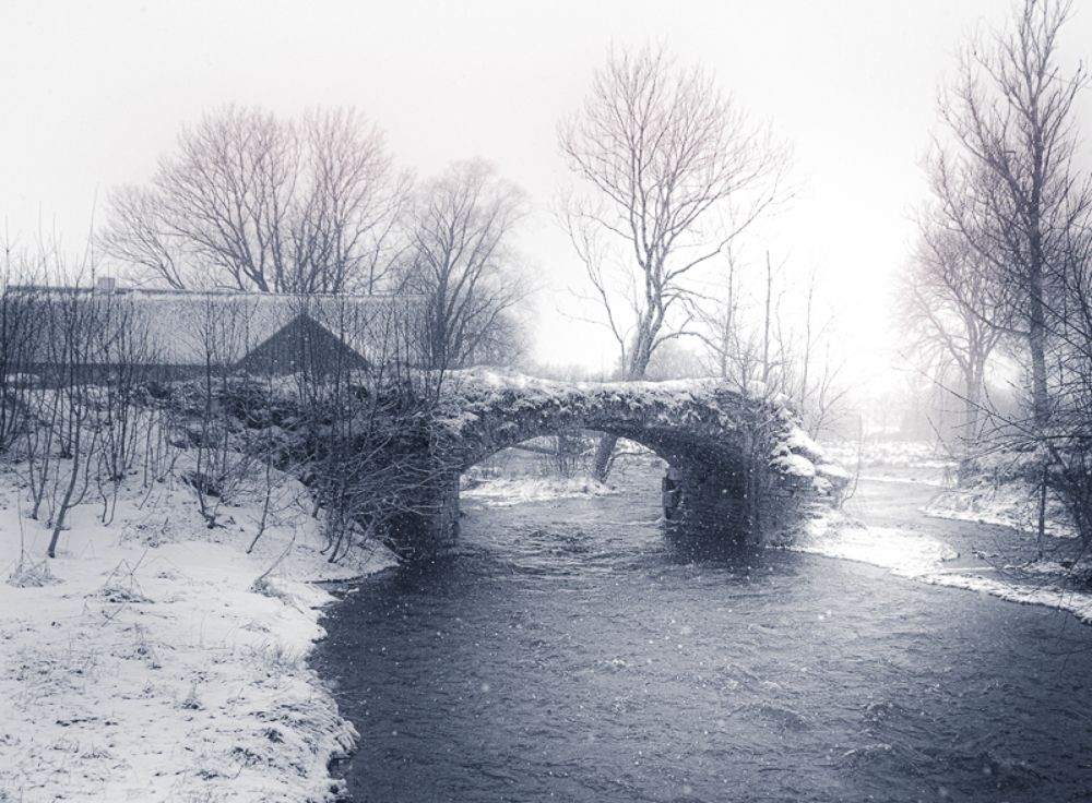 Photograph by Stella Talberg