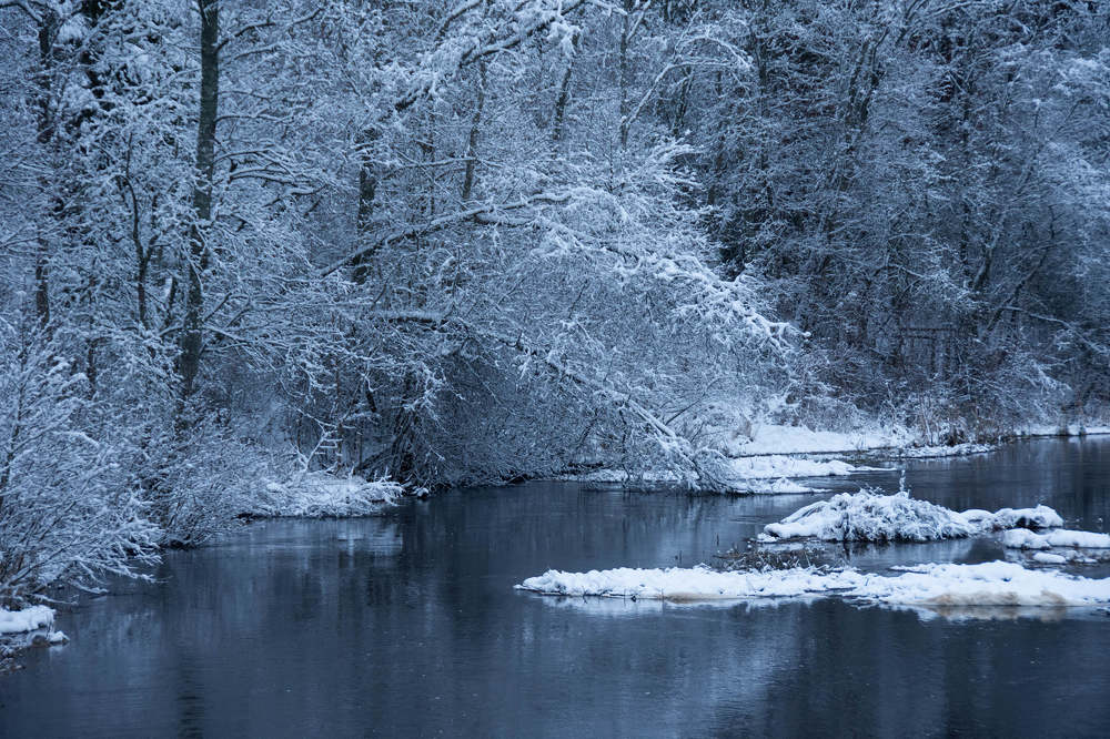 Photograph by Stella Talberg